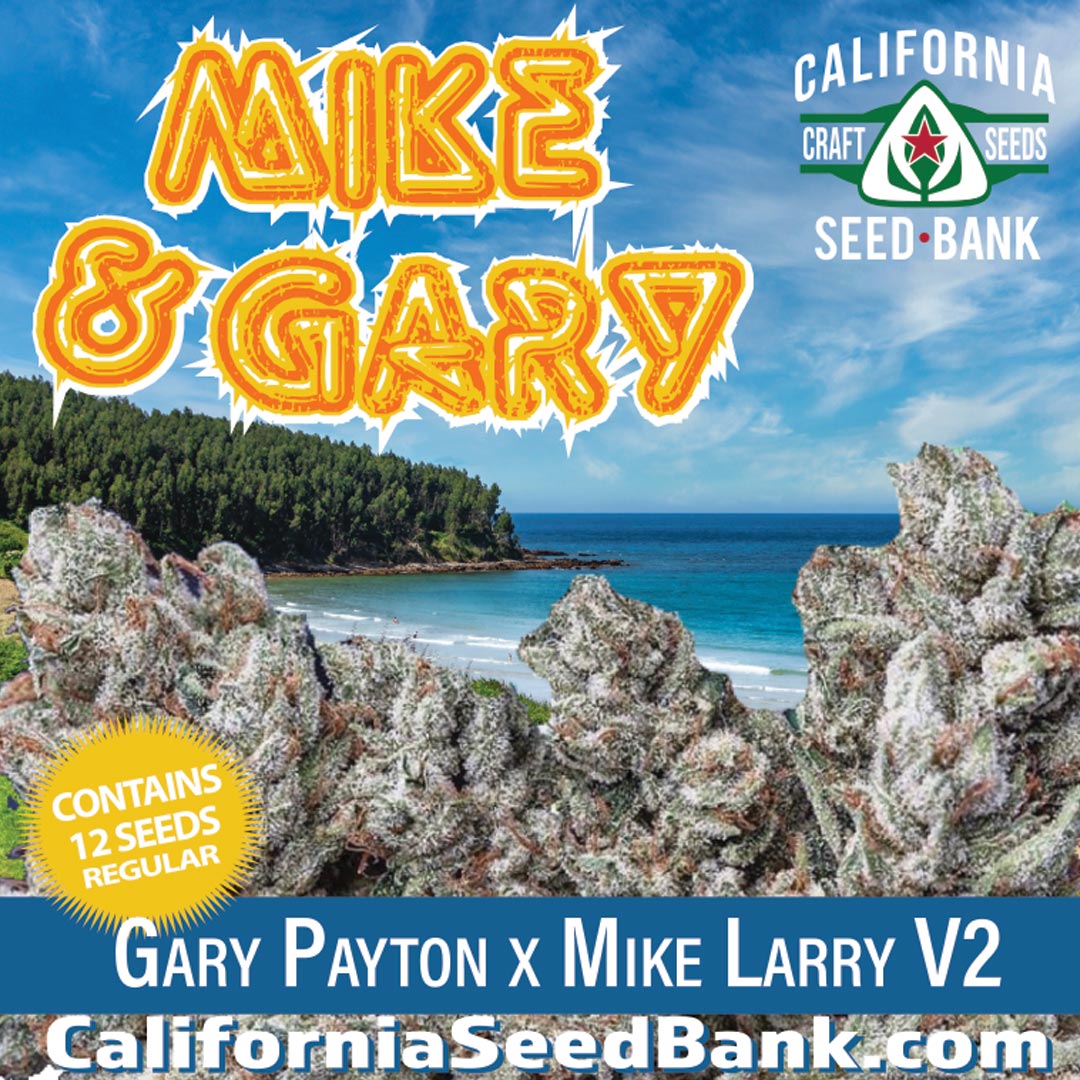 MikeGary