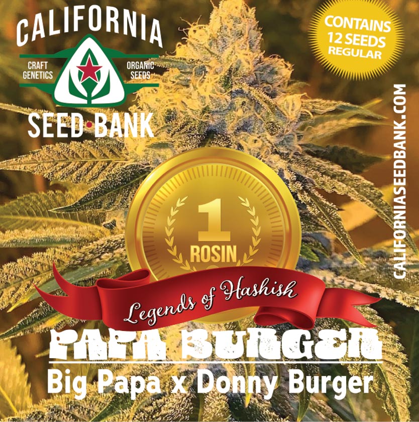 PapaBugerLabel_1gold